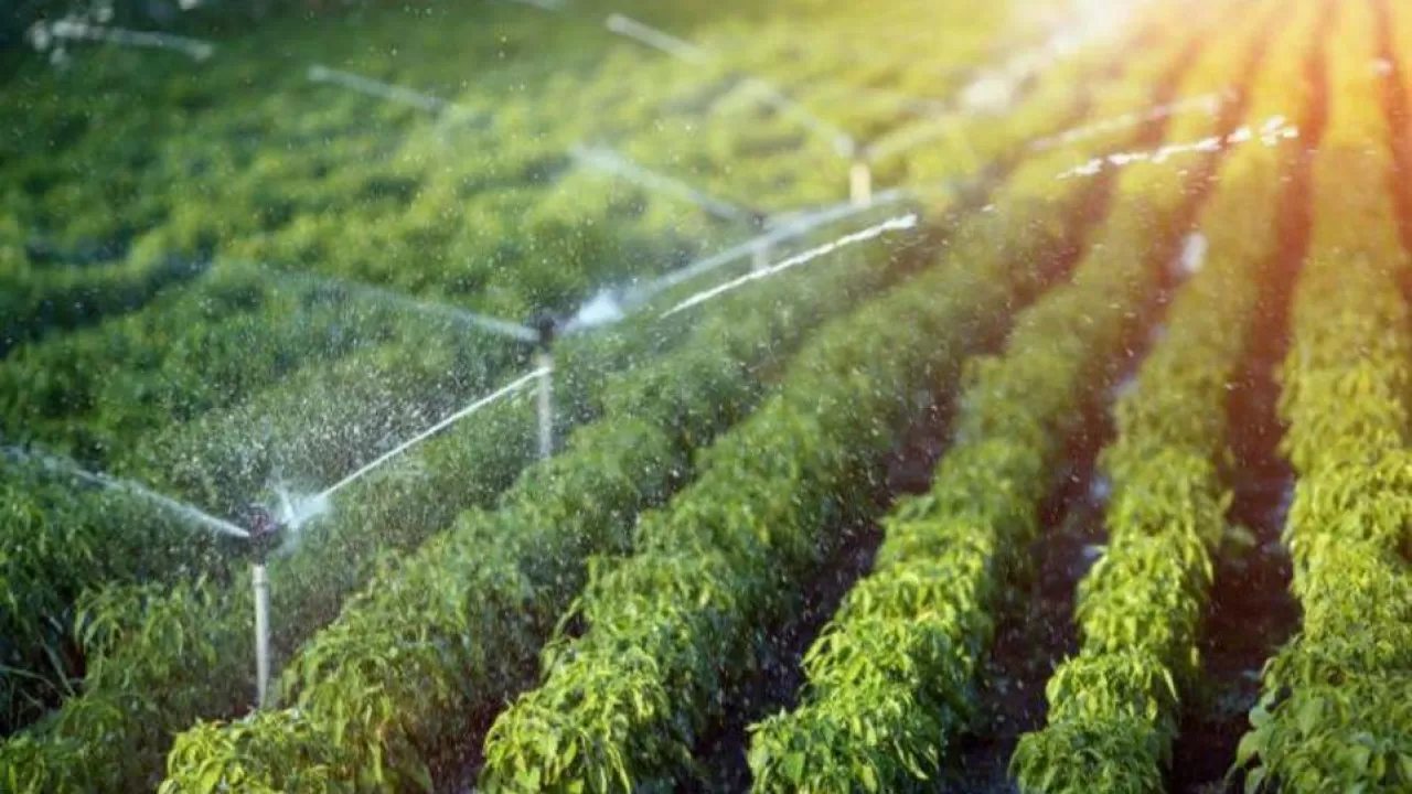 Ирригация, инвестиции, обучение: 10 ключевых цифр 2025 года 