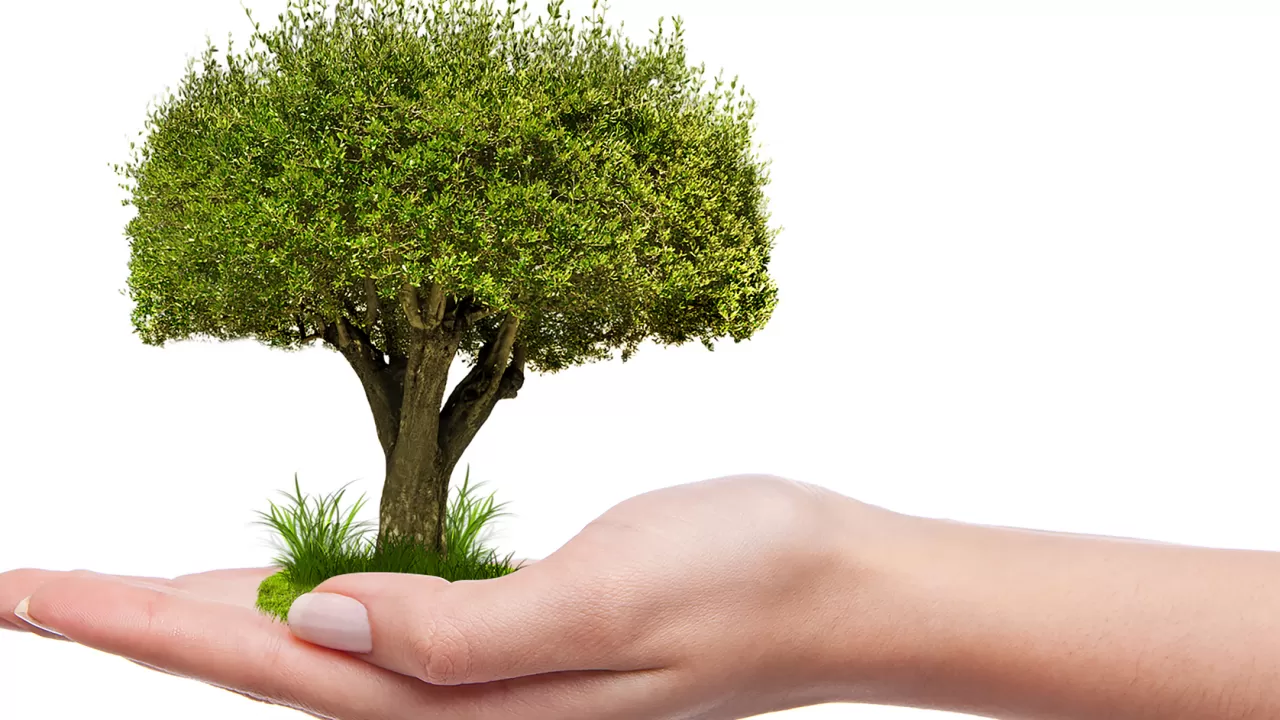 Зеленый поворот: почему 2025 стал ключевым годом для экологии в РК 