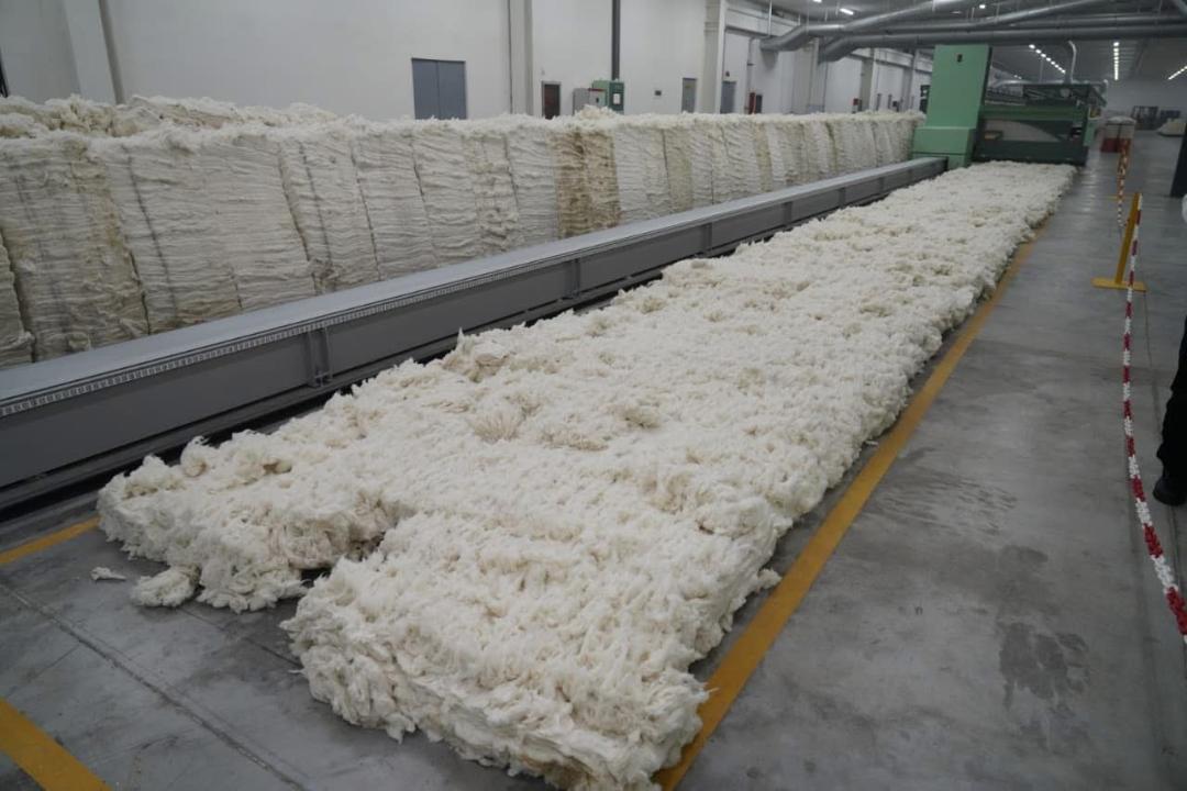 Түркістанда толық циклді тоқыма өндірісін қамтитын мақта кешені іске қосылды