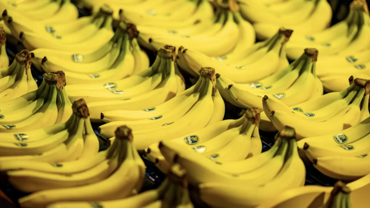 Қазақстан алыс-жақын мемлекеттерге банан экспорттап жатыр