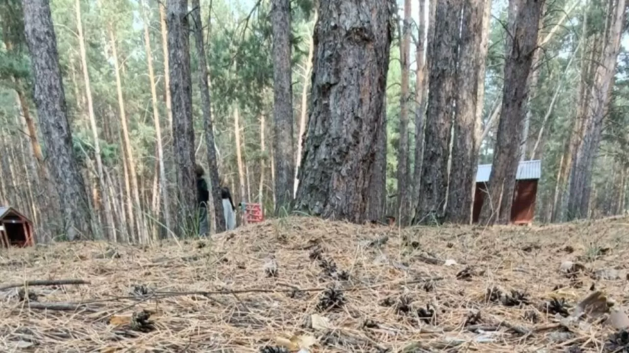 Кредитовать без процентов не получится - Роман Скляр ответил на предложение депутатов