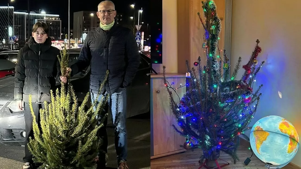Житель Вильнюса каждый год покупает самую уродливую рождественскую елку