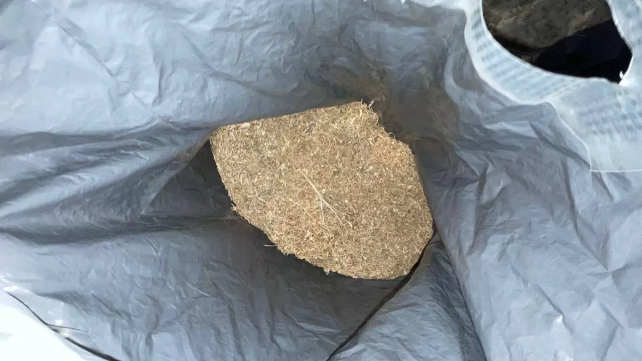 Полкило каннабиса нашли в салоне авто под Павлодаром 