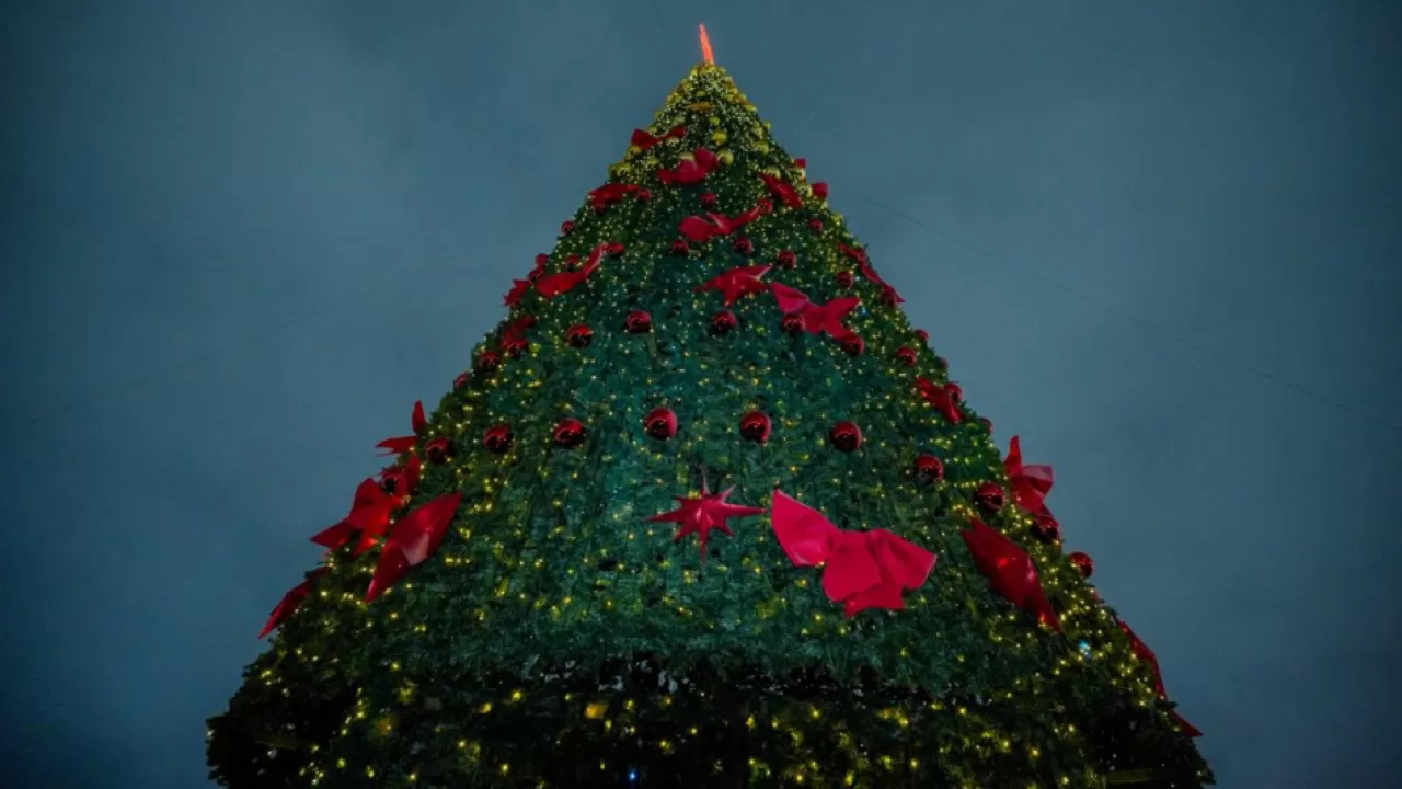 В Алматинском районе Астаны зажгли новогоднюю елку 