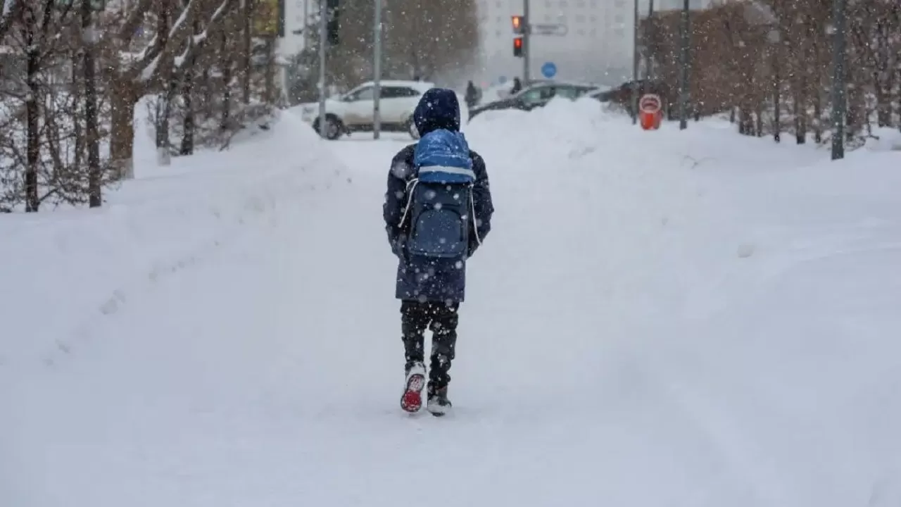 Қостанай облысында аязға байланысты 1-сынып оқушылары қашықтықтан оқиды