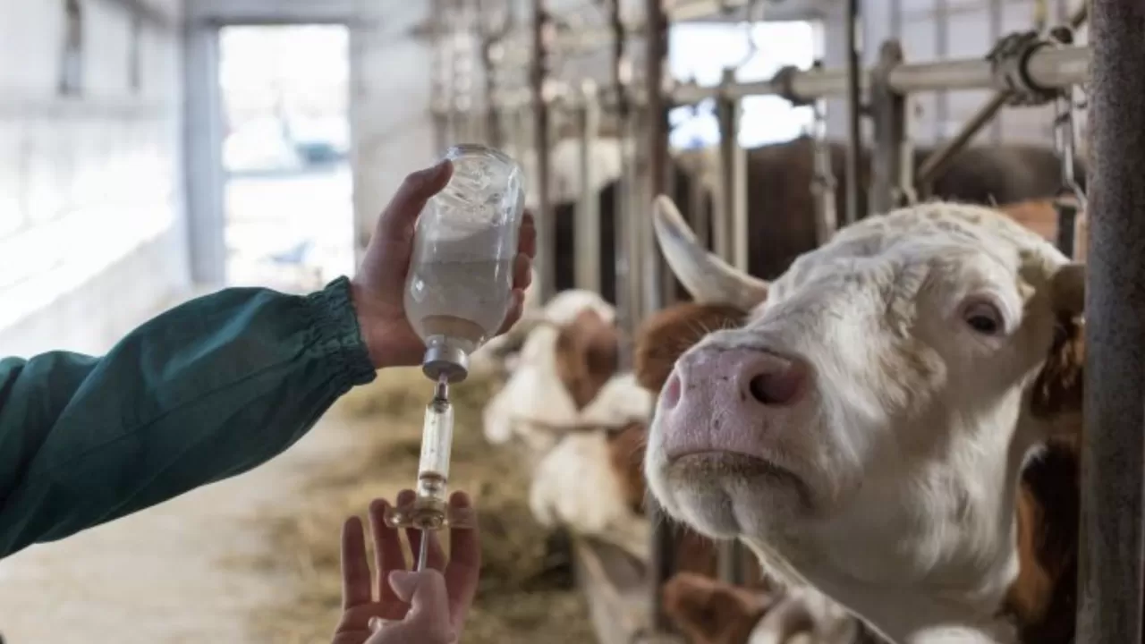 Ветеринар мамандардың жалақысы көтерілуі мүмкін