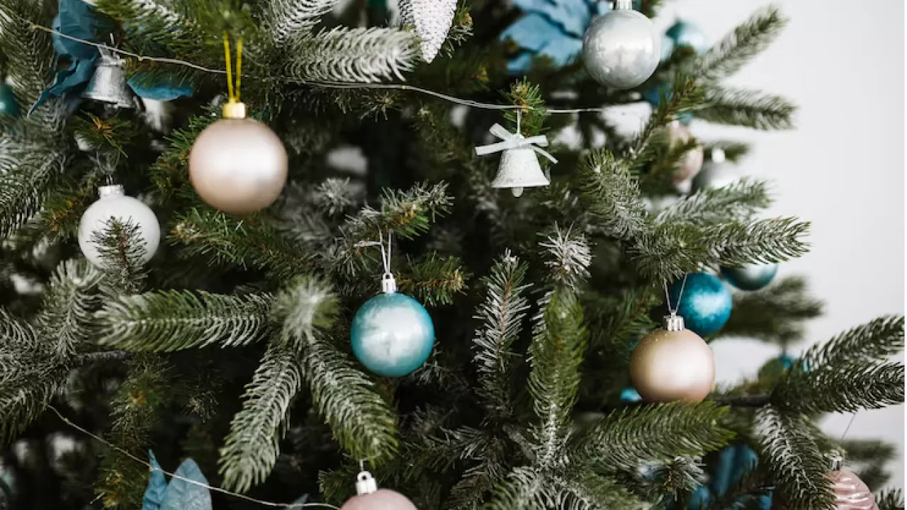 Елка "по суперцене" может обернуться потерей денег