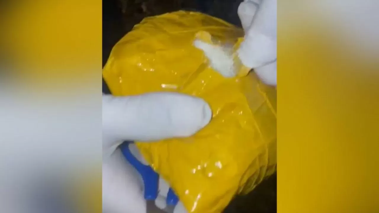 Жамбылда есірткі тасымалдаған Астана қаласының тұрғыны ұсталды