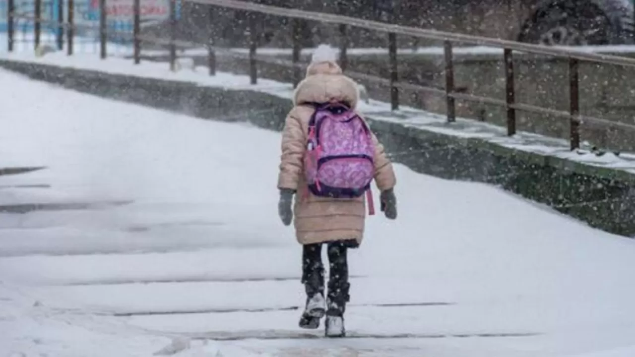 Бүгін бастауыш сынып оқушылары қашықтан оқиды