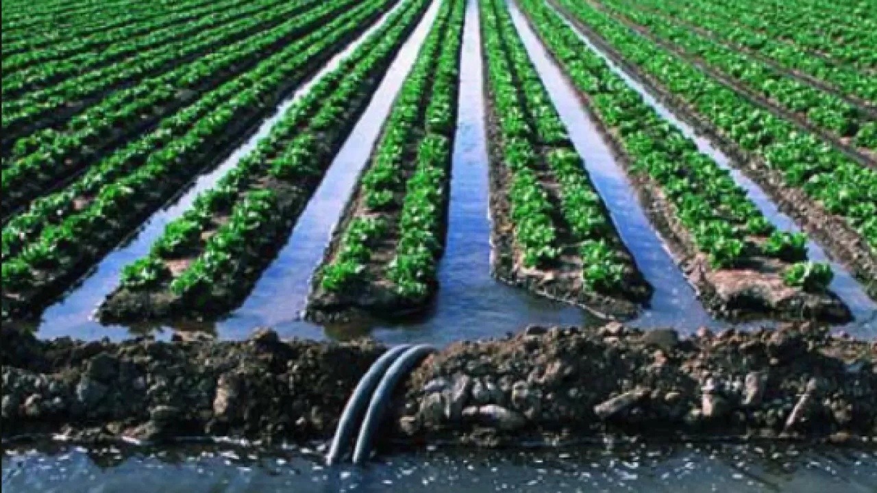 В бассейне Сырдарьи пересматривают режимы орошения 