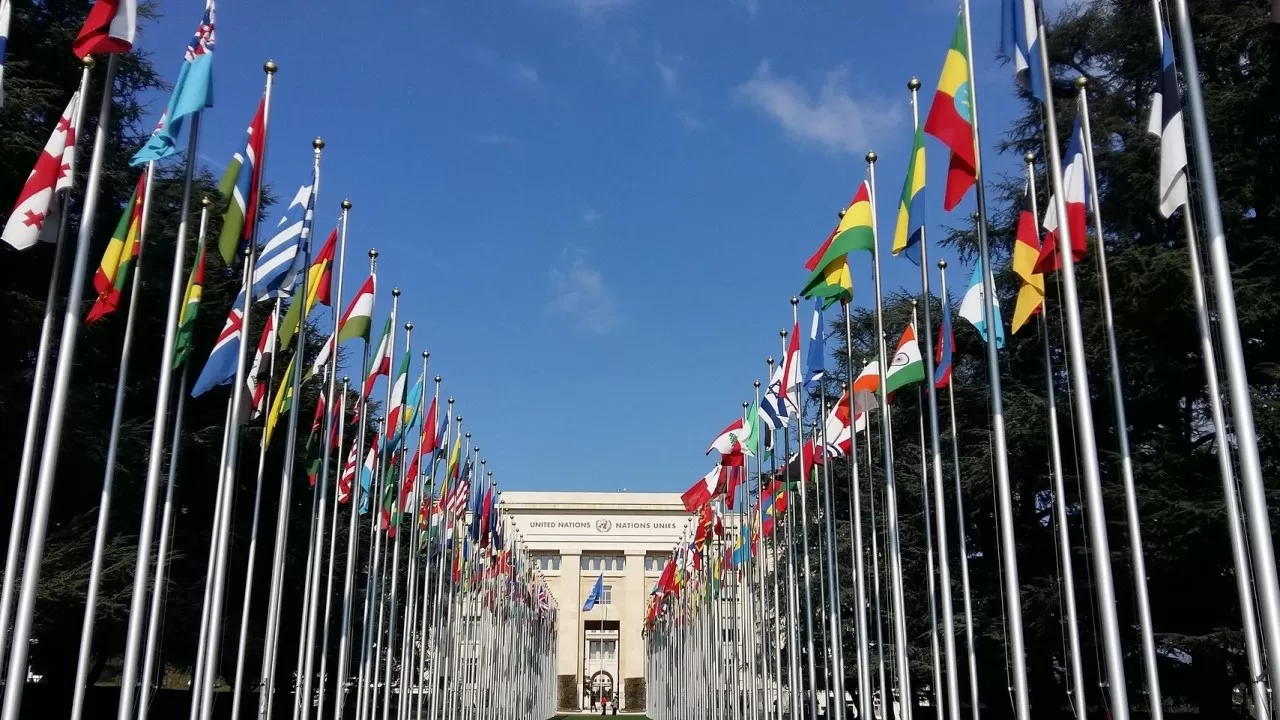 ООН режет бюджет: кризис ударил по системе 