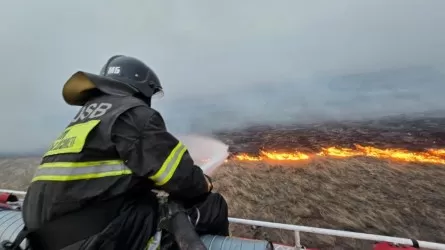 Қостанайда орман өртінен зардап шеккен аумақтың 38%-ы тазартылды