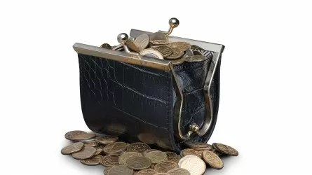 Главбух &laquo;перепутала&raquo; свой карман с бюджетом предприятия в Костанайской области 