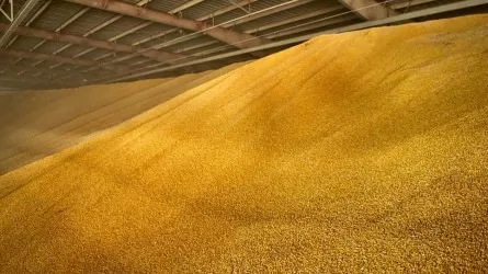 Қазақстандағы алдағы үш жылда астық өңдейтін 5 зауыт салынады