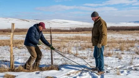 Малоснежная зима в Казахстане шлет плохой сигнал зерновикам