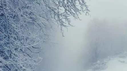 Удар стихии до 28 м/с и гололед: Казахстан накрывает мощная волна штормов 