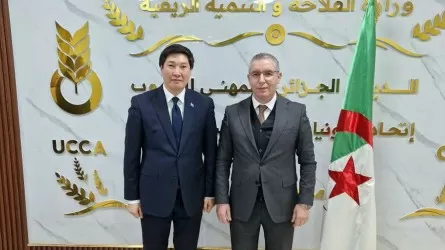 Қазақстан Алжирге 390 мың тонна бидай экспорттады