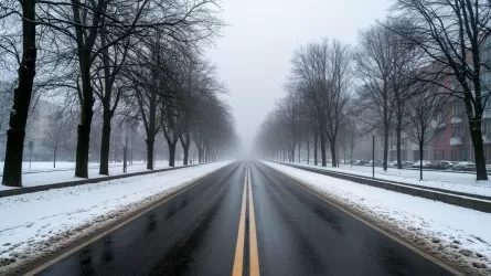 Туман, ветер и гололед прогнозируют в регионах Казахстана