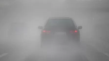 Тұманға байланысты Алматы–Қонаев тас жолы жабылды