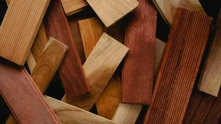 Казахстан запускает систему маркирования древесины 