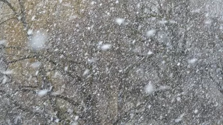 Метели и обильный снег накрывают регионы Казахстана