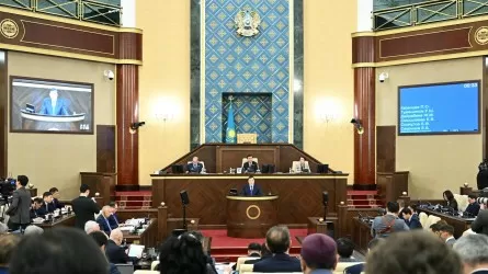 &laquo;Биыл 100 заң қабылданды&raquo;: Ерлан Қошанов Мәжіліс атқарған жұмыс туралы