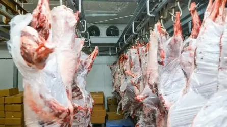 196 мың киік еті өңдеу кәсіпорындарына тапсырылды