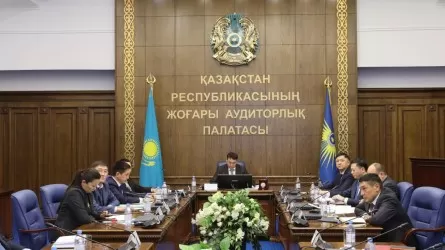 Местные бюджеты проверят глубже и строже в РК 