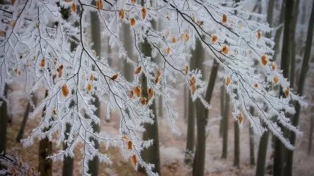 Морозы подступают к Казахстану