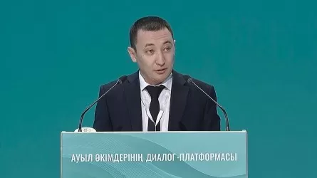 36 жастағы әкім ауылға 345 млн теңгелік инвестиция тартқан