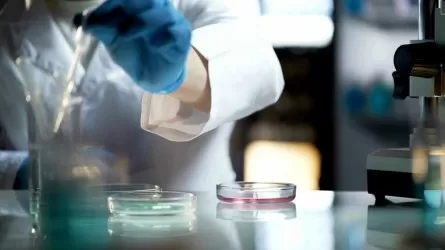 У 100-летних долгожителей выявили особые гены 