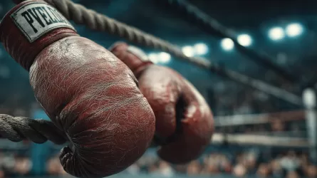 Уайлдер подтвердил переговоры о бое с Усиком