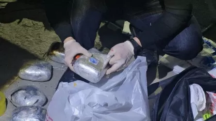 КНБ пресек крупную контрабанду тяжелых наркотиков 