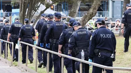 Нападавшему на пляже Бонди предъявили 59 обвинений 