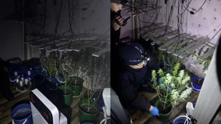 Орал тұрғыны пәтерін есірткі зертханасына айналдырған