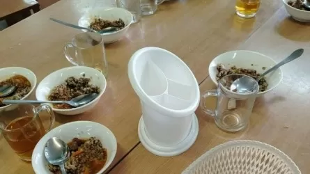 «Петропавлда гимназия асханасынан тарақан табылды»: Директор жұмыстан шығарылды 