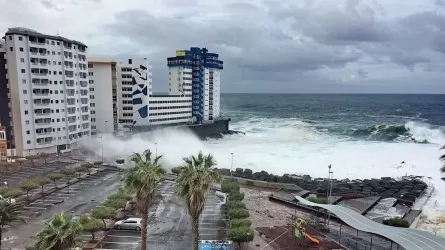 На Канарских островах гигантская волна унесла жизни туристов 