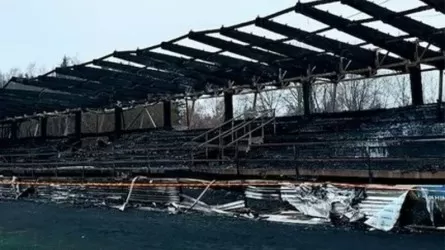 Финляндияда 15 жасар жанкүйерлер стадионды өртеп жіберді