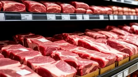 Стало известно, сколько сайгаков направили на мясоперерабатывающие предприятия в РК 