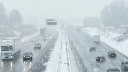 Смертоносный шторм &laquo;Ханнес&raquo; в Европе: падающие деревья убивают людей