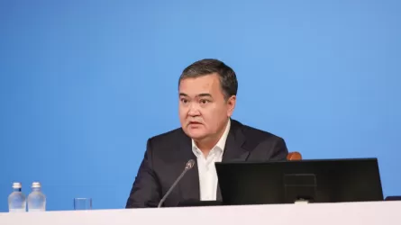 «Әр 10 күнде – бір өлім, әр 15 күнде – бір зорлау»: Әкім депутат айтқан деректердің дұрыстығына сенбеді