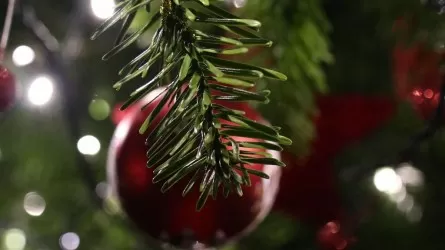 Выходные на Рождество и Новый год отменили в Украине 