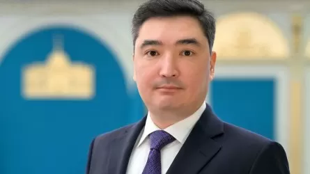 Премьер Казахстана подверг критике работу госорганов 