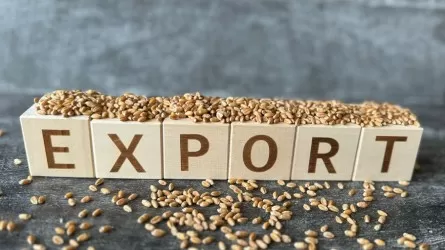 Қазақстанда жаңа егіннен 3,1 млн тонна дән экспортталды