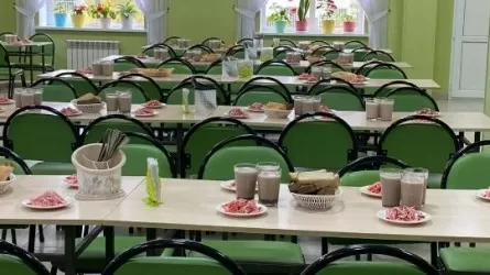 Қазақстанда балалар ұйымдарында санитариялық мемлекеттік бақылау қағидалары өзгеруде