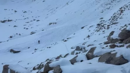 Как выжить при сходе лавины: правила, которые спасают жизнь