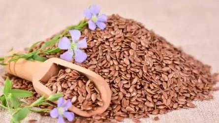 Экспорт льна из Казахстана вырос более чем в три раза