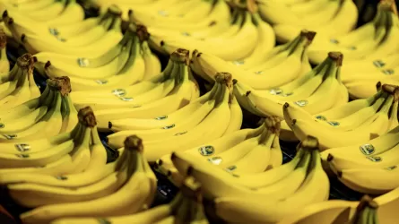 Қазақстан алыс-жақын мемлекеттерге банан экспорттап жатыр