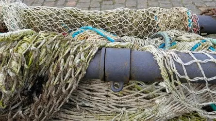 Реальные сроки получили браконьеры за рыбалку в нацпарке Казахстана