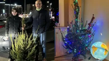 Житель Вильнюса каждый год покупает самую уродливую рождественскую елку